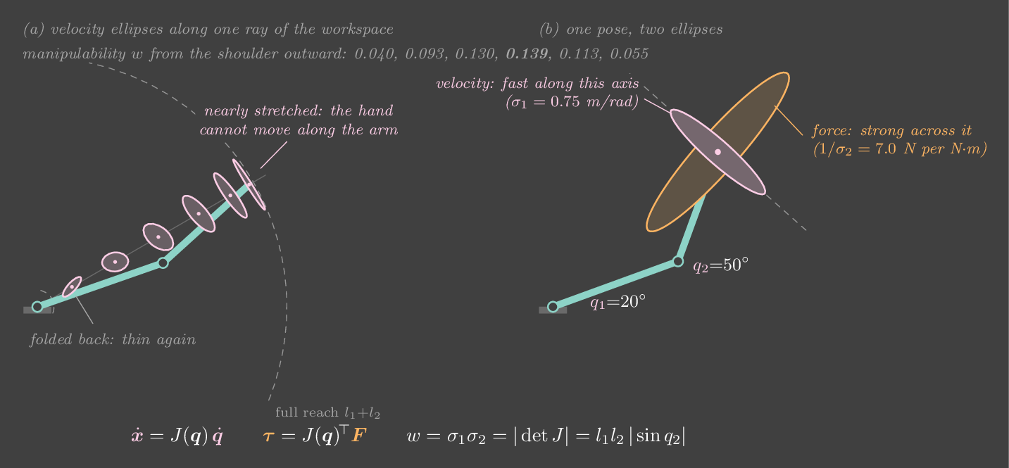Velocity ellipses of a two-link arm along one ray of its workspace, flattening near full stretch, and one pose with its velocity and force ellipses.